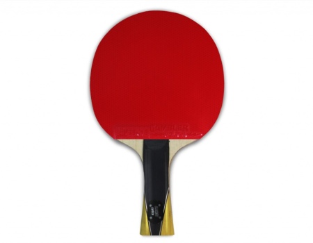 Купить Теннисная ракетка Gambler max speed carbon volt M в Агрызе 
